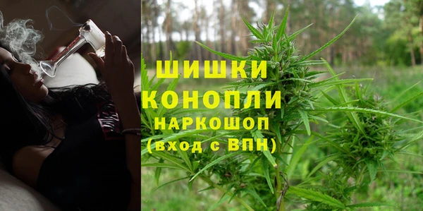 МДПВ Алзамай