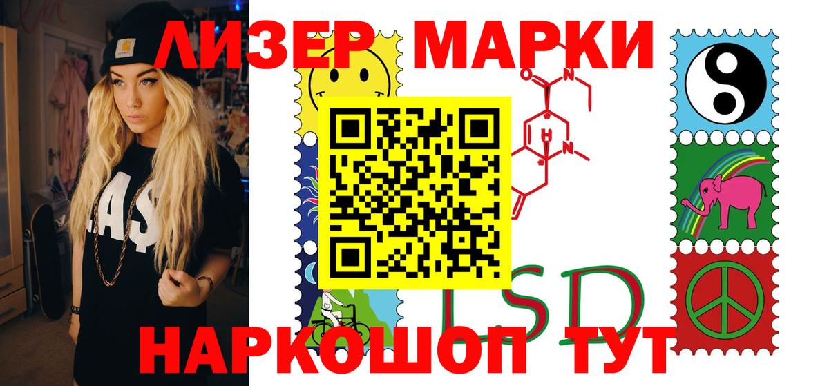 A-PVP Курчалой
