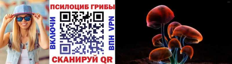 купить   Курчалой  omg ССЫЛКА  Галлюциногенные грибы прущие грибы 