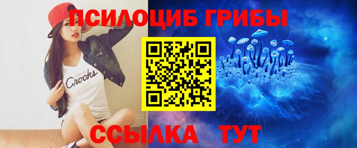 Псилоцибиновые грибы Psilocybine cubensis  Вход с VPN  Курчалой 